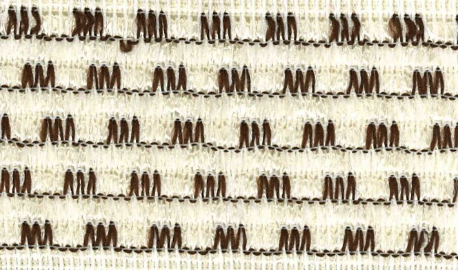 Cream / Chocolate 600